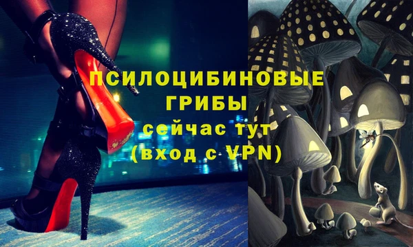 молекула духа Аркадак