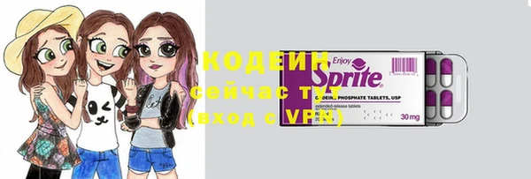 гашик Арсеньев